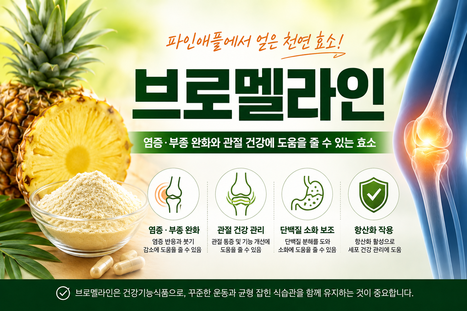 브로멜라인 효능과 파인애플 유래 효소의 관절 건강 및 염증 관리 효과를 보여주는 이미지