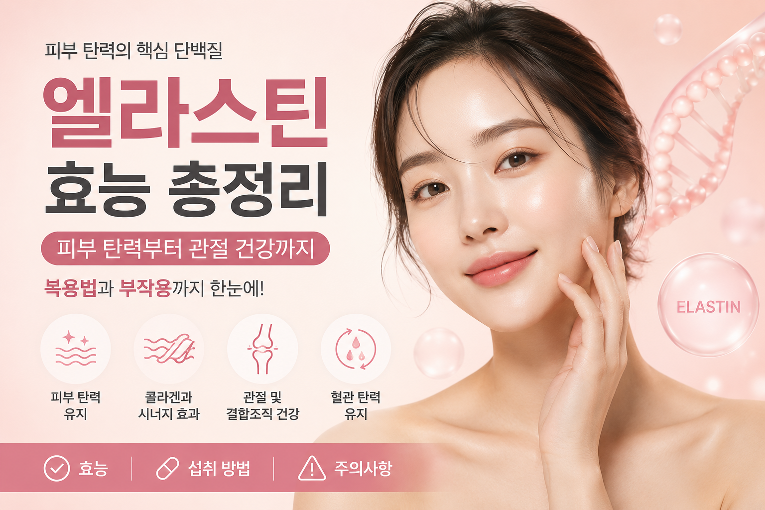 엘라스틴 효능과 피부 탄력, 콜라겐과의 관계를 설명하는 이미지