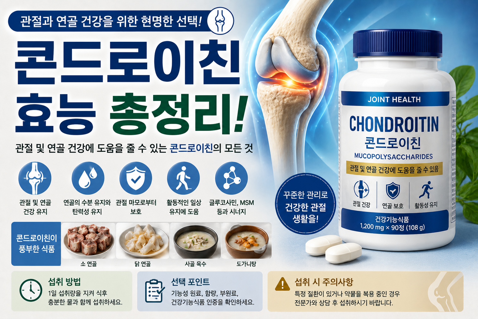 콘드로이친 효능과 관절 건강, 무릎 관절과 콘드로이친 영양제를 설명하는 건강 정보 대표 이미지