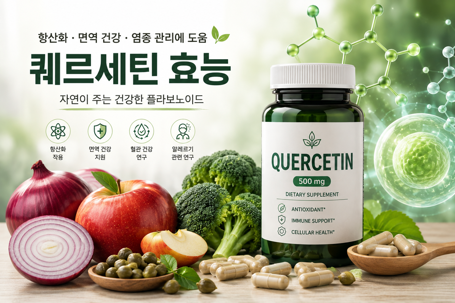 퀘르세틴 효능과 항산화, 면역 건강을 설명하는 건강 정보 대표 이미지
